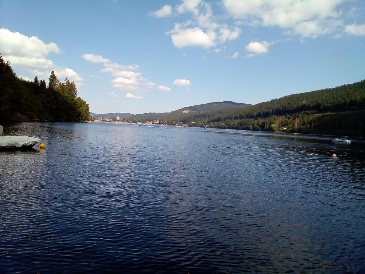 Schwarzwald - Villa Appartments Titisee Titisee-Neustadt Exterior foto