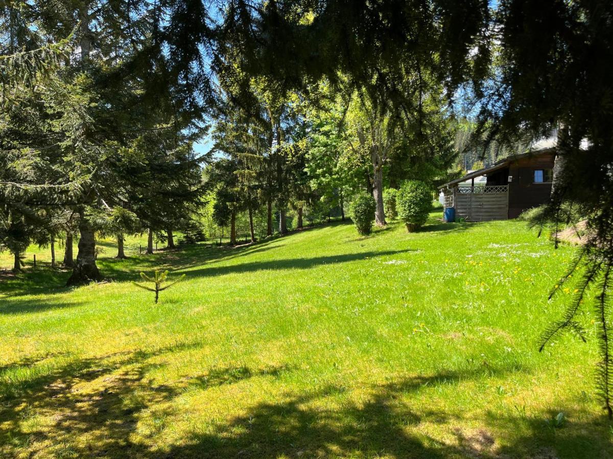 Schwarzwald - Villa Appartments Titisee Titisee-Neustadt Exterior foto