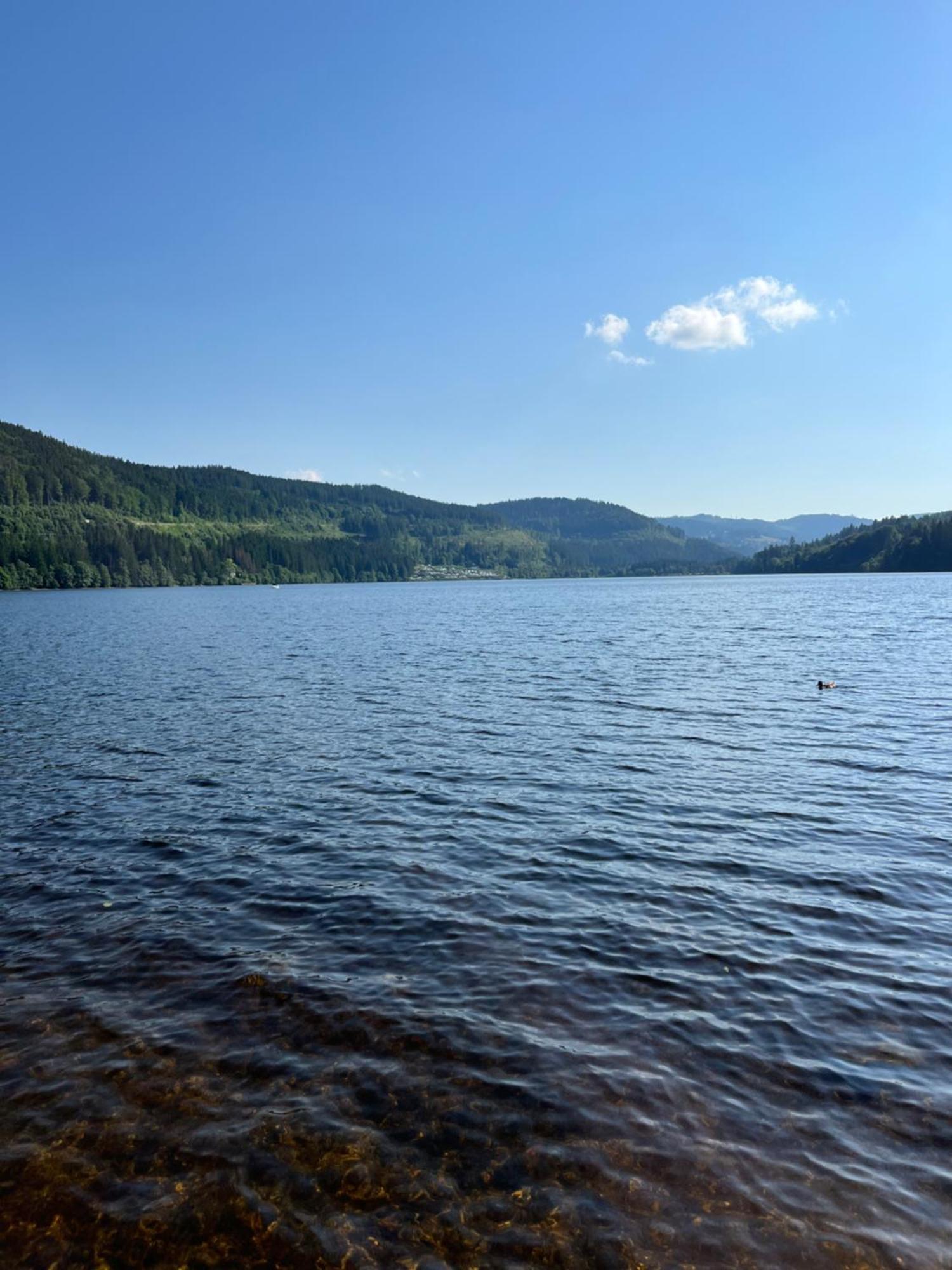 Schwarzwald - Villa Appartments Titisee Titisee-Neustadt Exterior foto