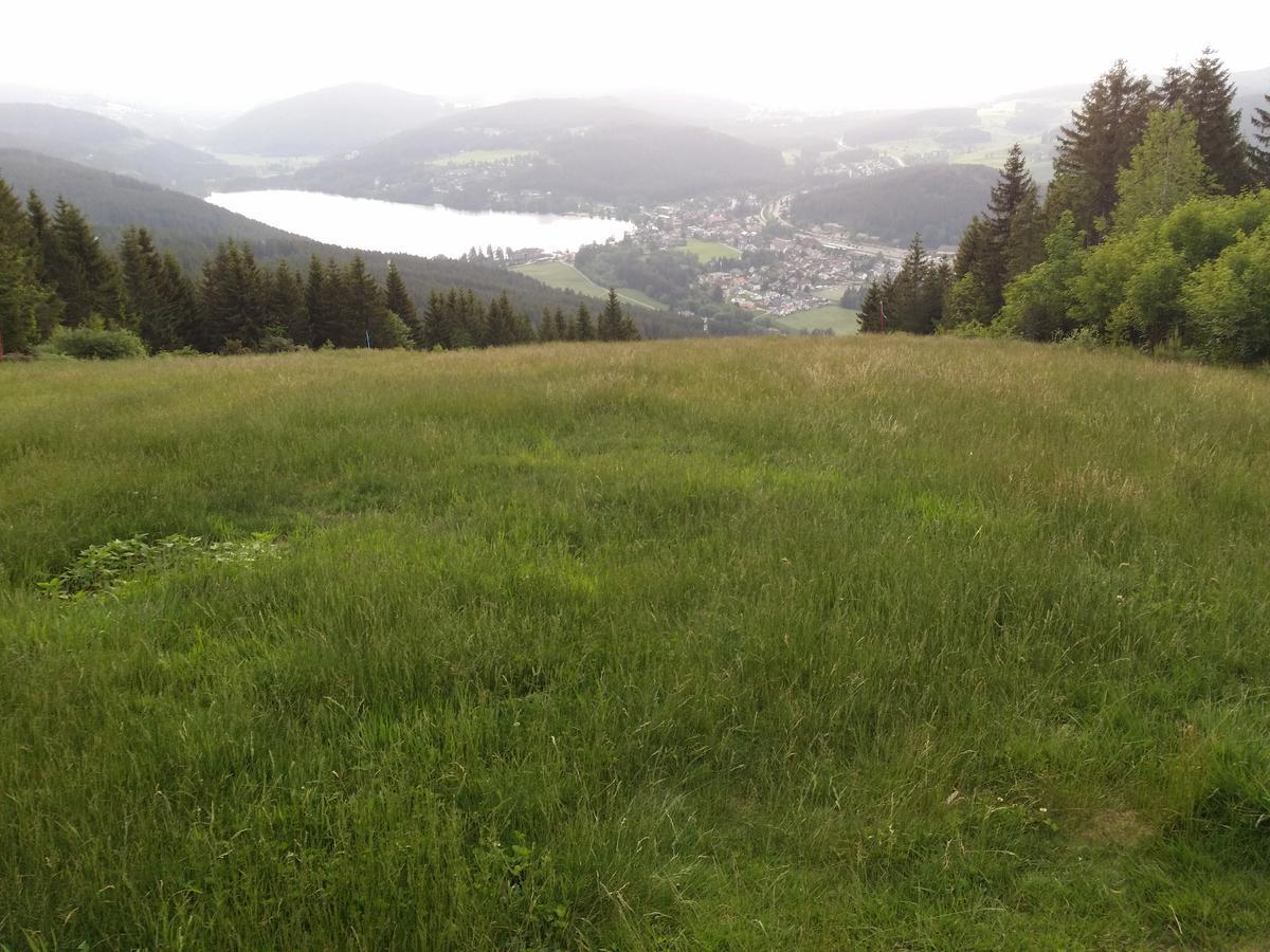 Schwarzwald - Villa Appartments Titisee Titisee-Neustadt Exterior foto