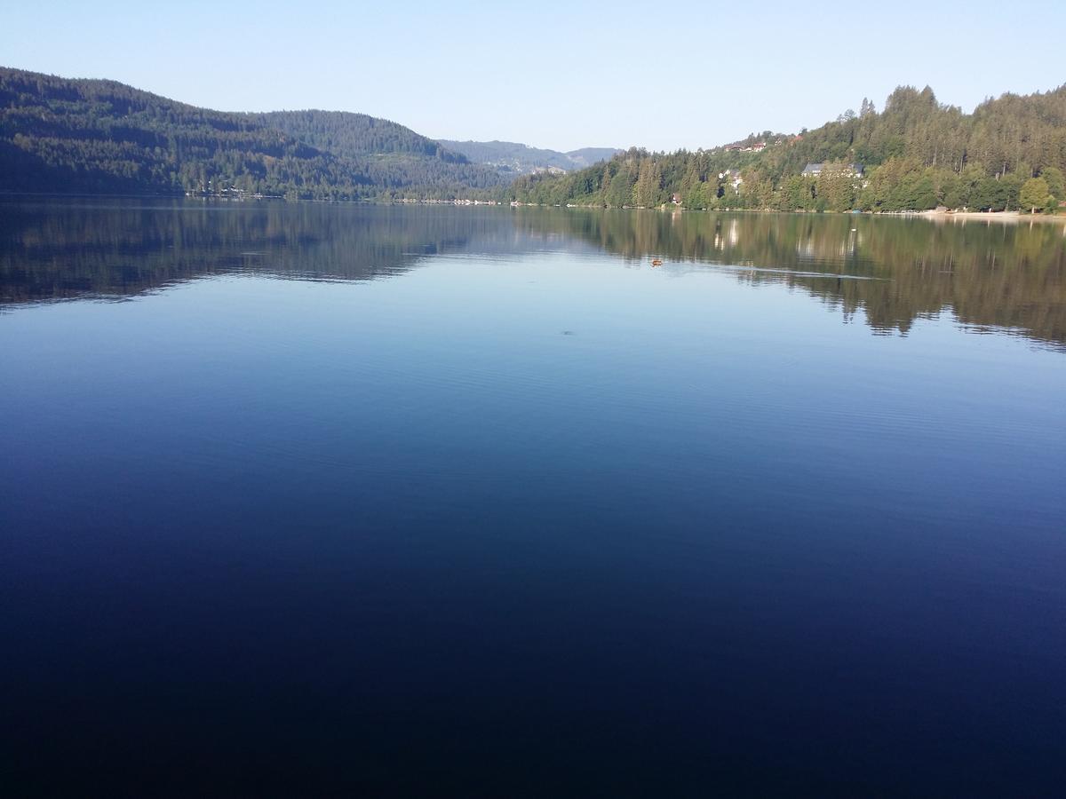 Schwarzwald - Villa Appartments Titisee Titisee-Neustadt Exterior foto
