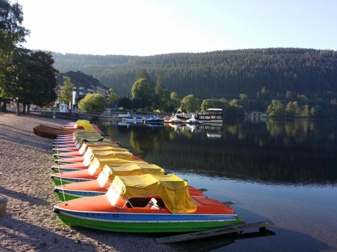 Schwarzwald - Villa Appartments Titisee Titisee-Neustadt Exterior foto